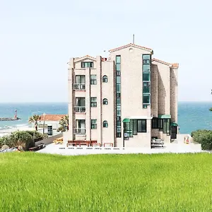 https://hotel-jeju-695-918.jejukoreahotels.com
